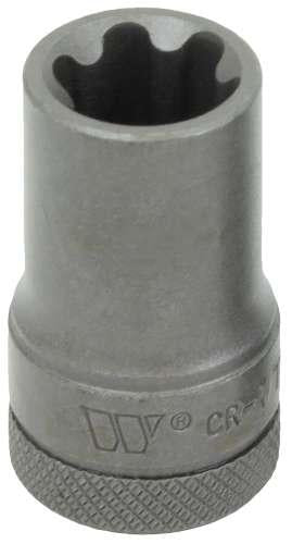 WELZH WERKZEUG 3/8" Kraftbits Torx Plus Hona 16EP