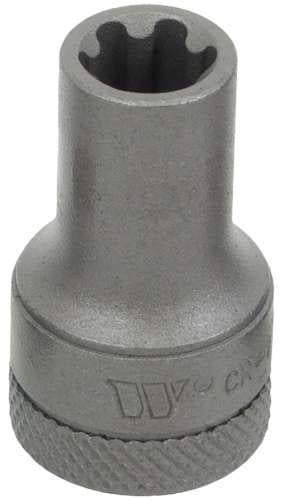 WELZH WERKZEUG 3/8" Kraftbits Torx Plus Hona 12EP