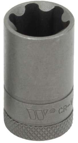 WELZH WERKZEUG 3/8" Kraftbits Torx Plus Hona 20EP