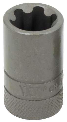 WELZH WERKZEUG 1/2" Kraftbits Torx Plus Hona 22EP