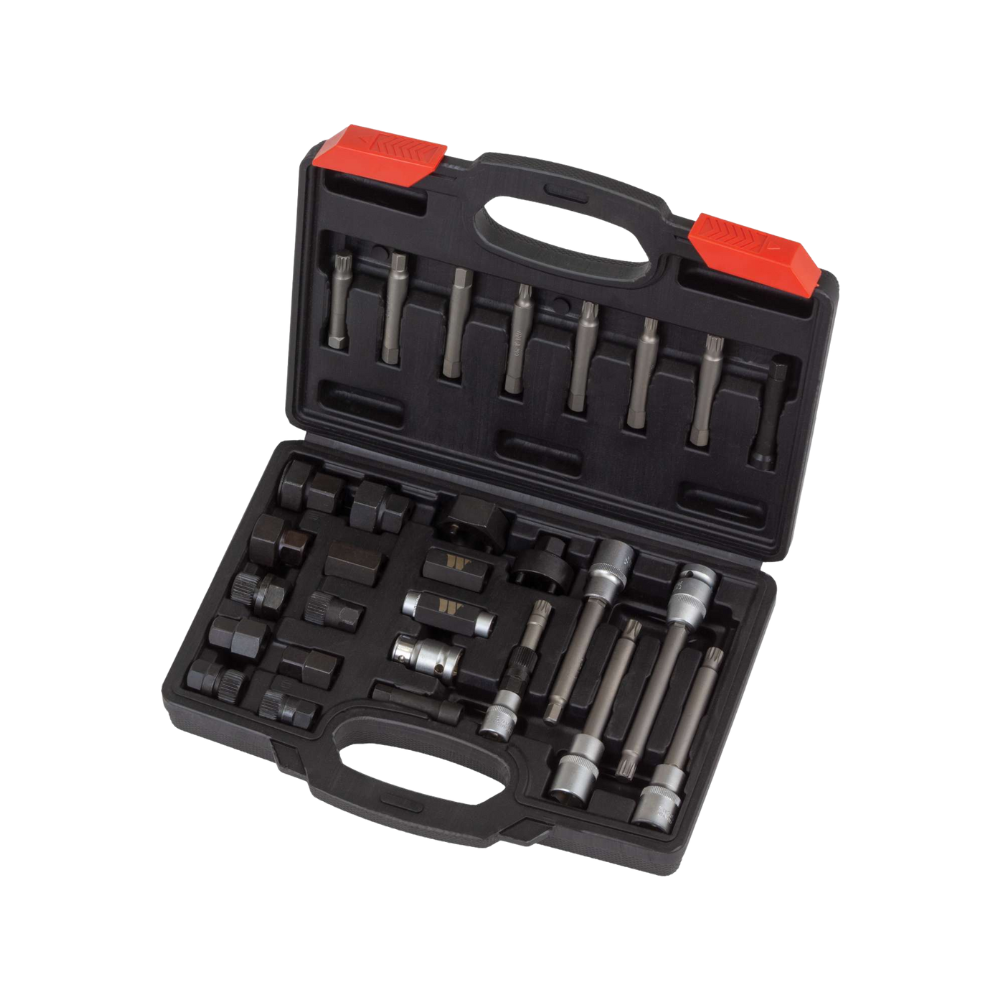 WELZH WERKZEUG Generator Remskiva Set 30 delar