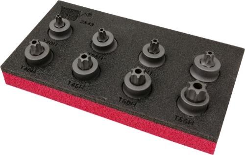 WELZH WERKZEUG Tamper Torx Bituppsättning S2 delarål Extralåg Profil T20h-T50H