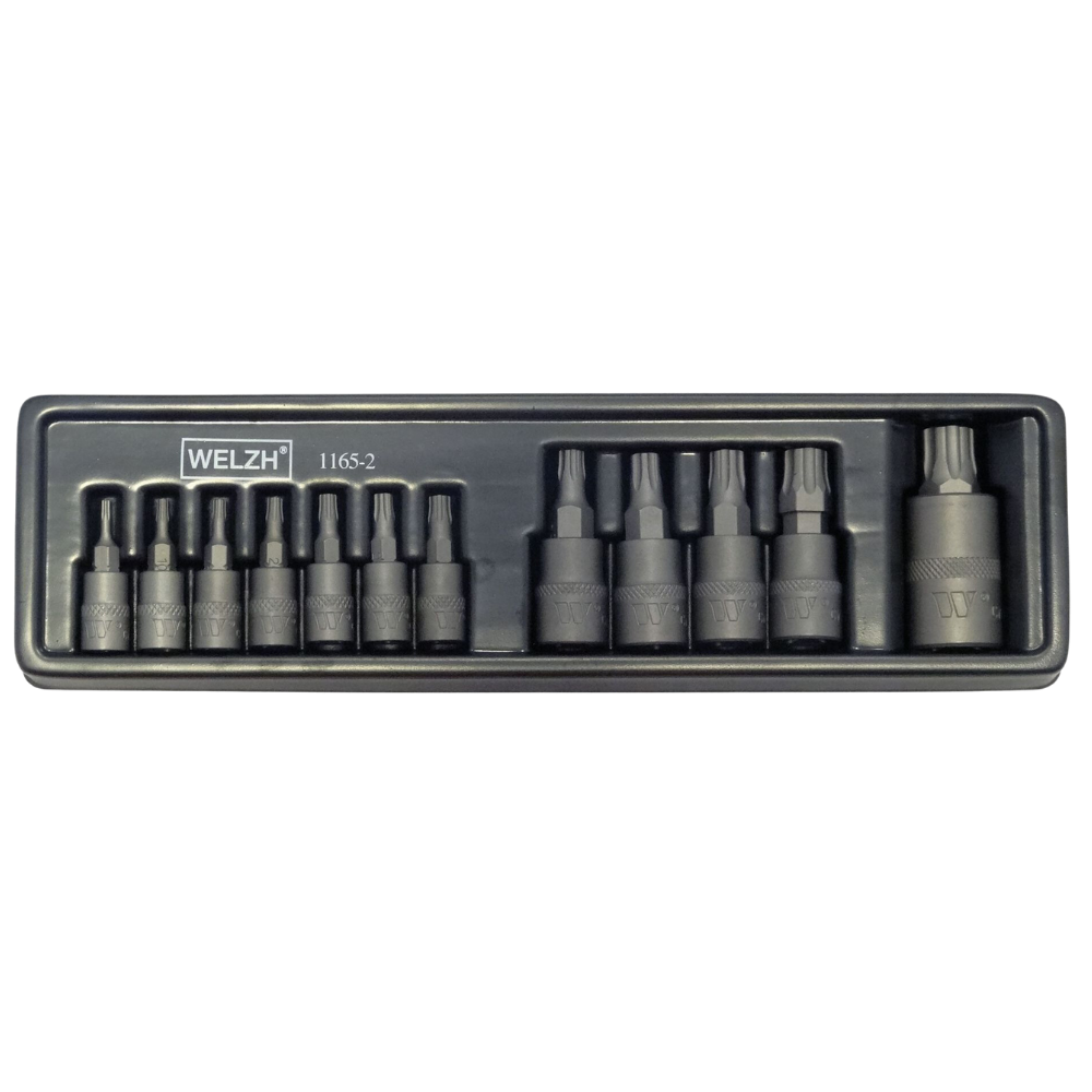 WELZH WERKZEUG Hylsbitsats Torx S2 Stål 8IP-60IP