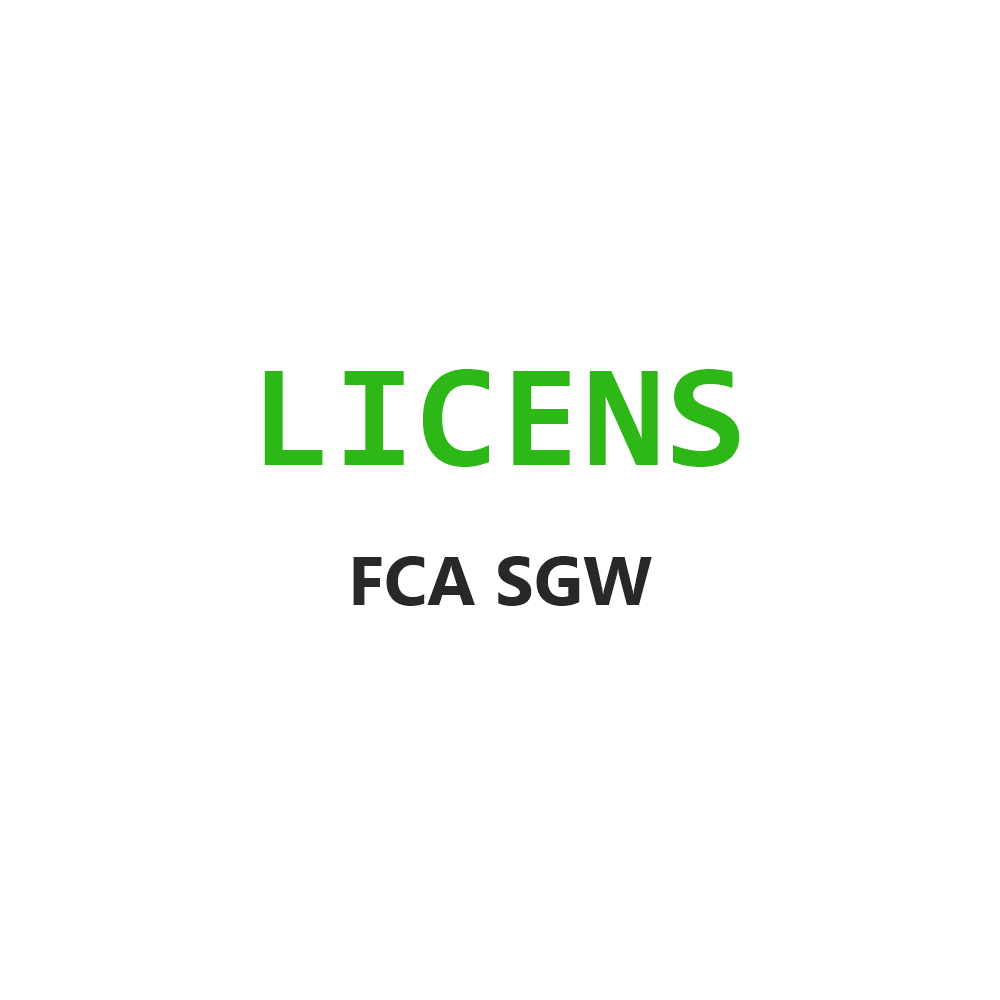 THINKCAR FCA SGW Licens 1 år