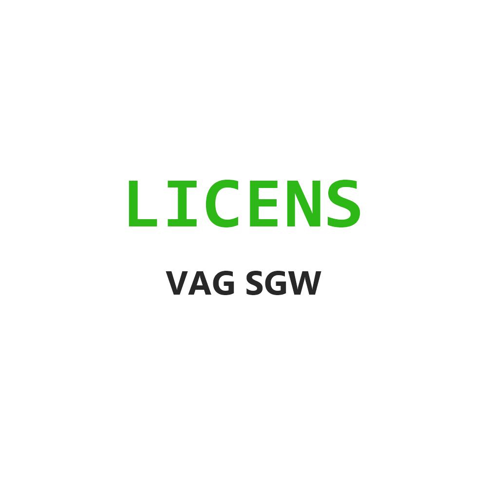 THINKCAR VAG SGW Årslicens